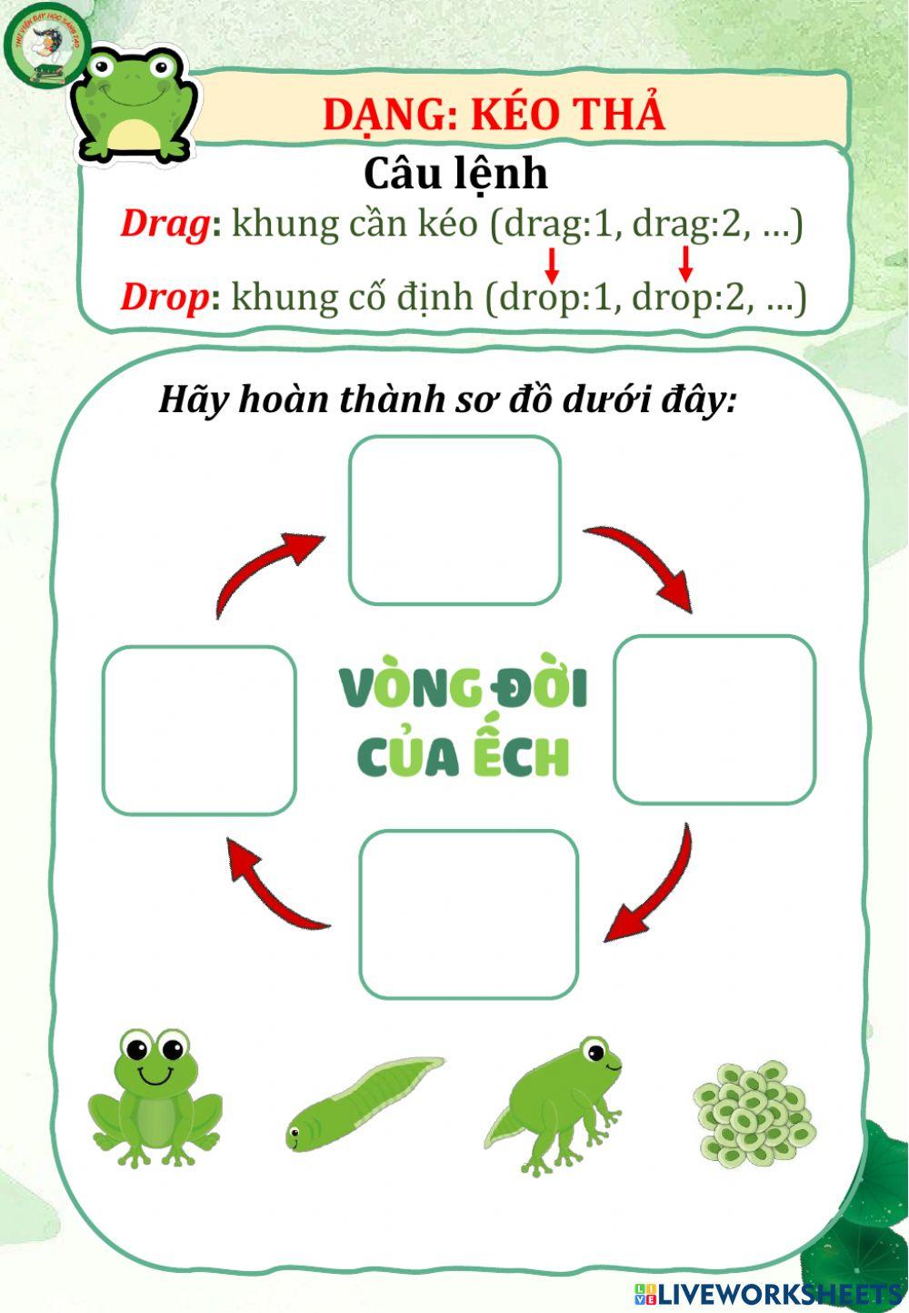 Bài tập tương tác