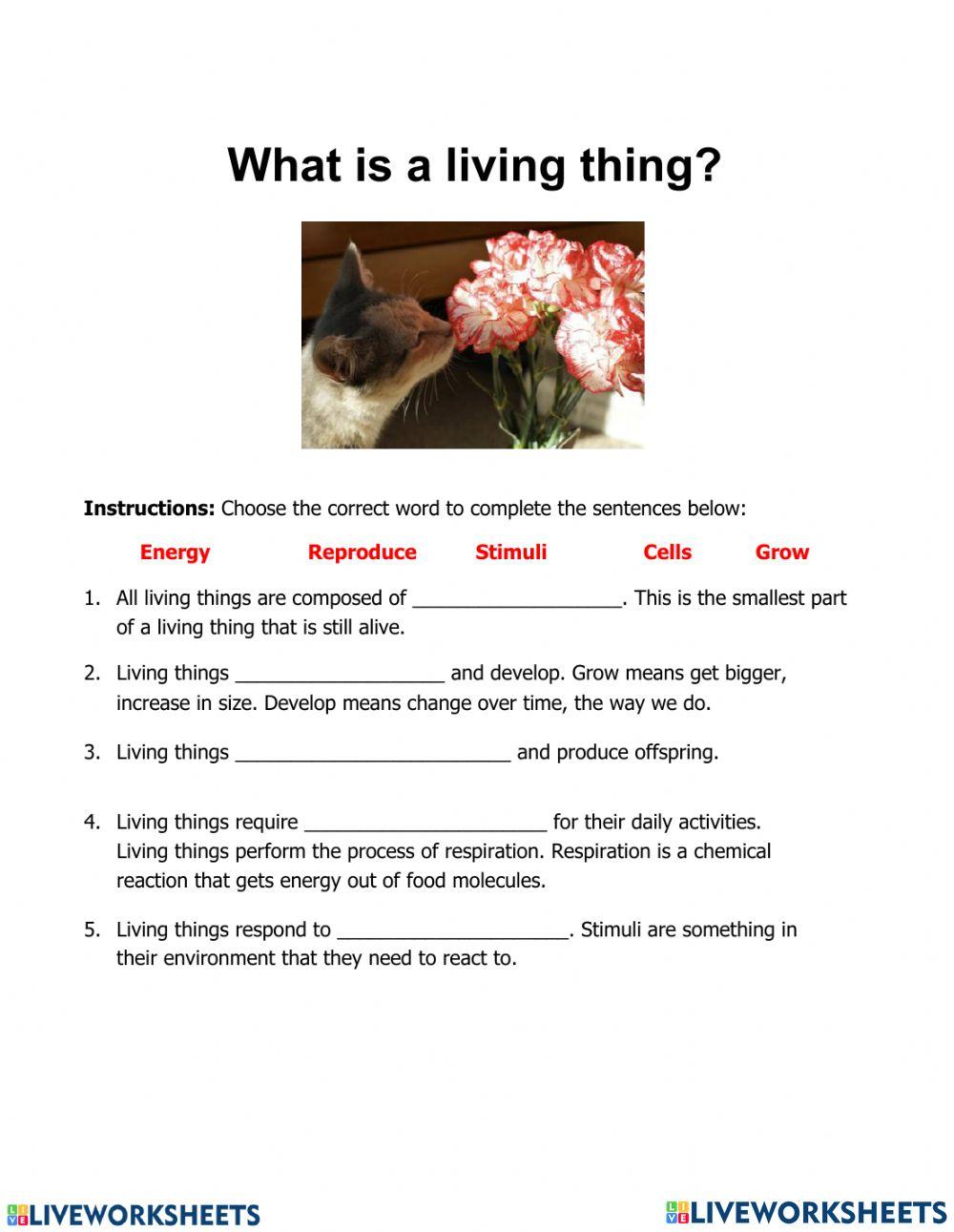 Characteristics of Life 5179308 Cheryl Mulligan