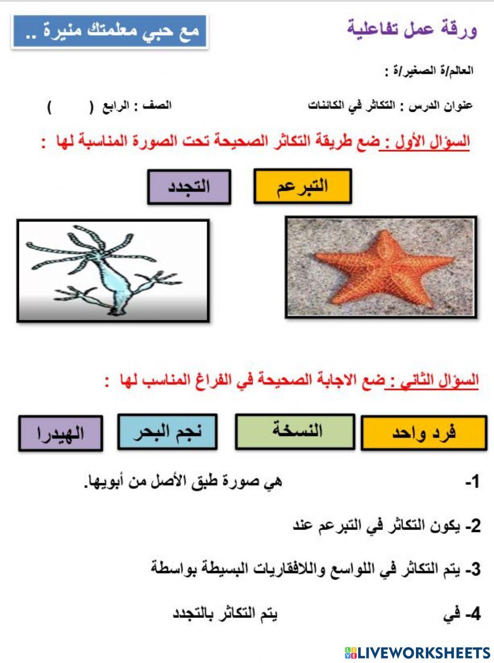 درس التكاثر اللاجنسي