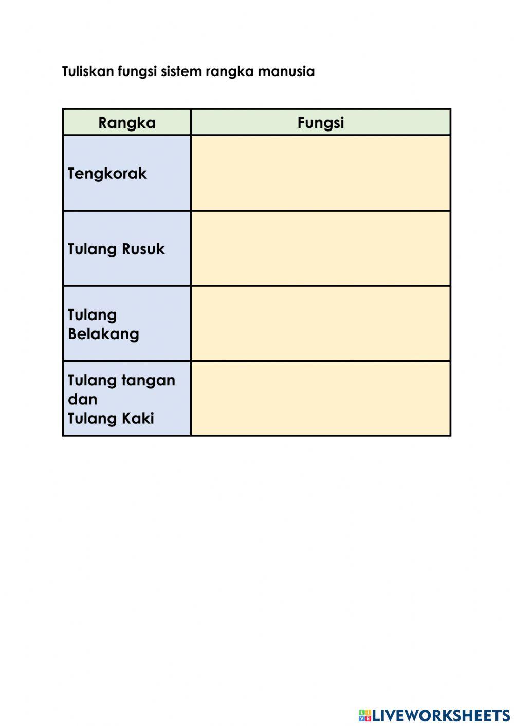 Sistem rangka dan sendi