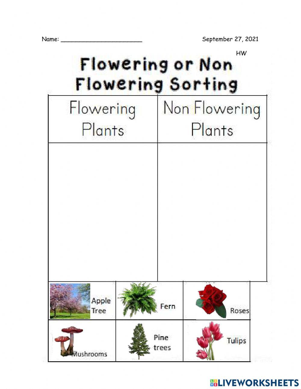 Science 1st HW 09-27