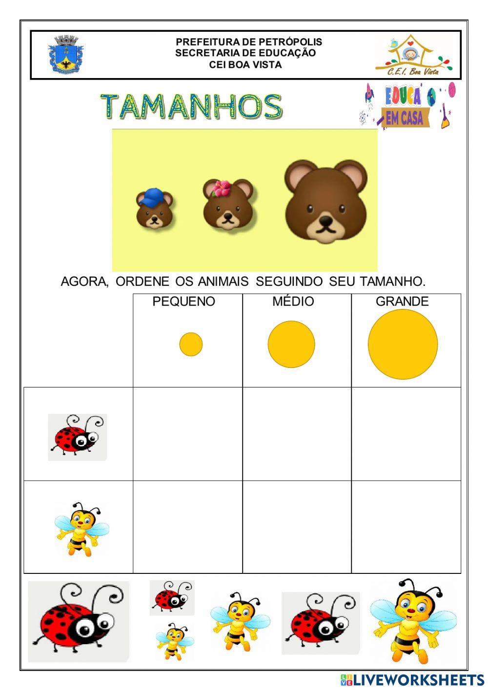 Ordenando por tamanho