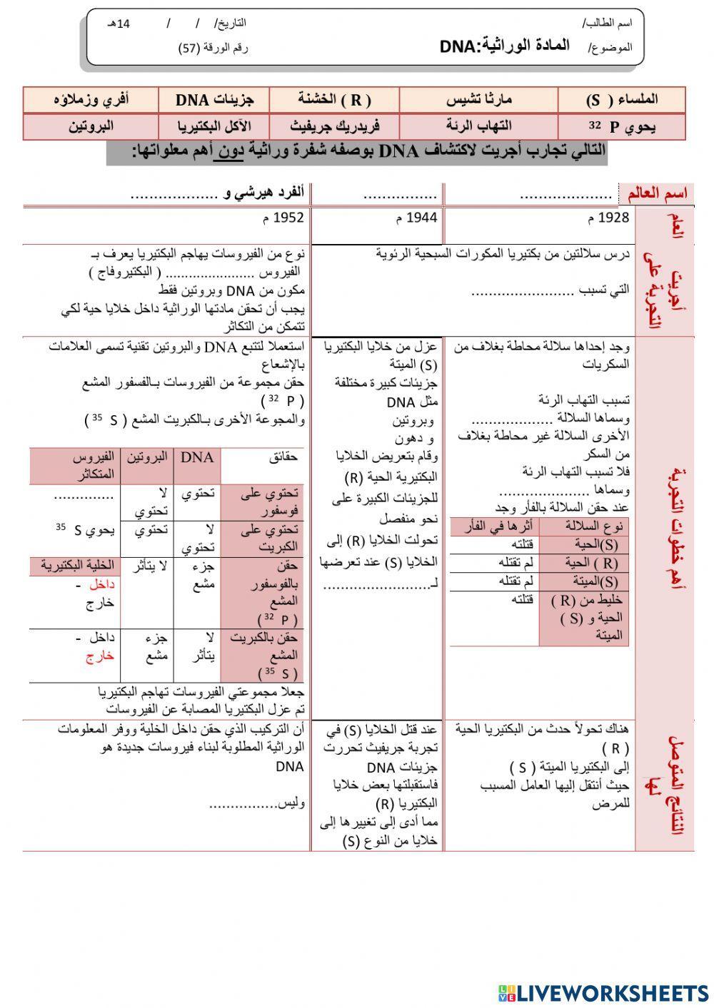 ورقة 57تفاعلية3