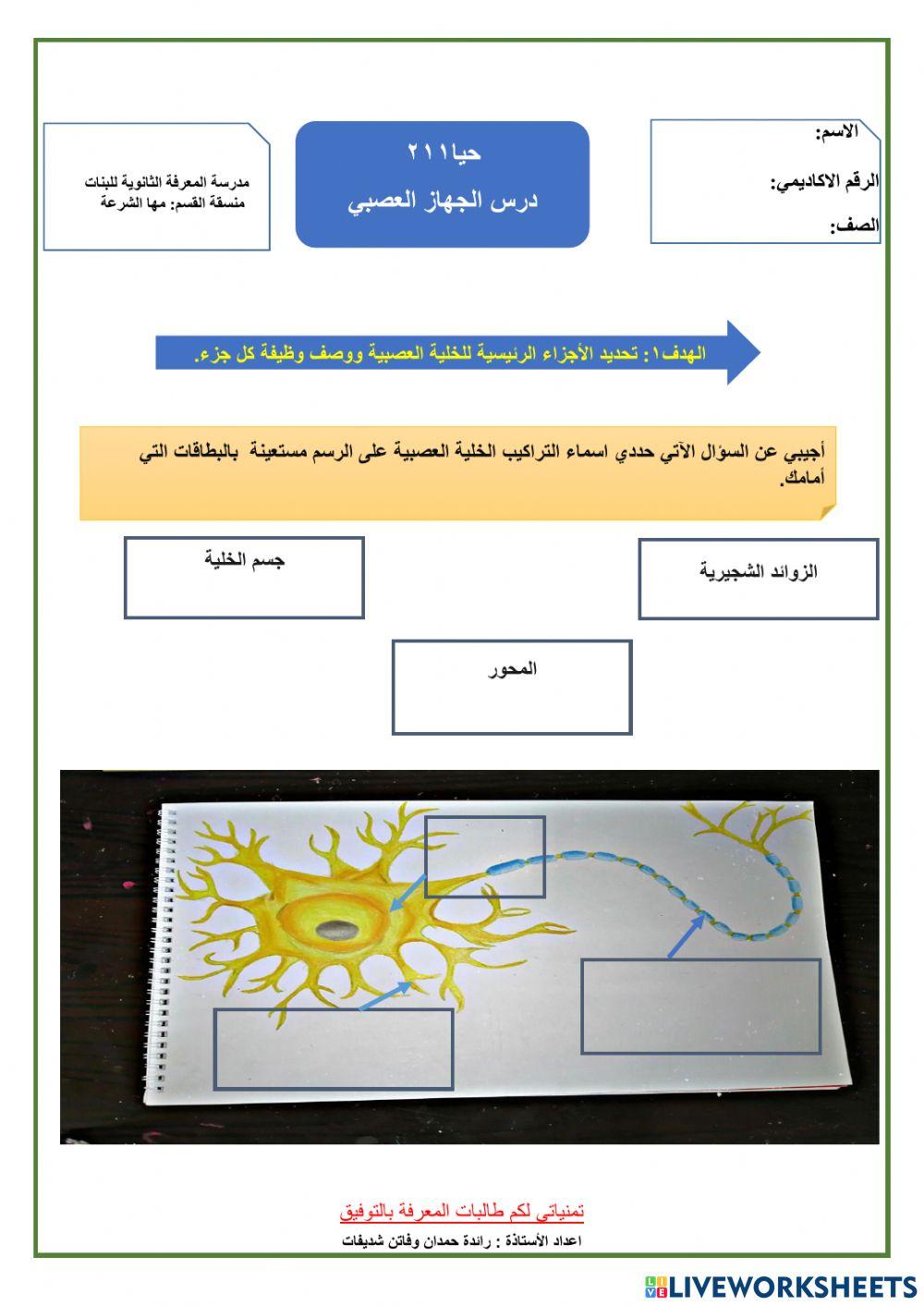 أجزاء الخلية العصبية