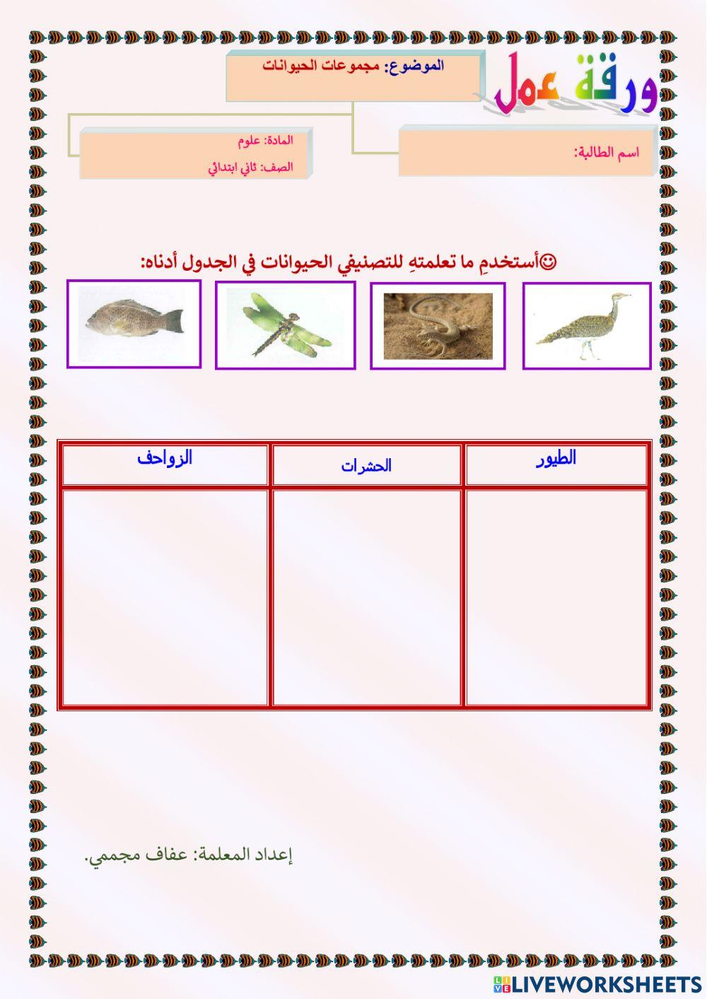 مجموعات الحيوانات