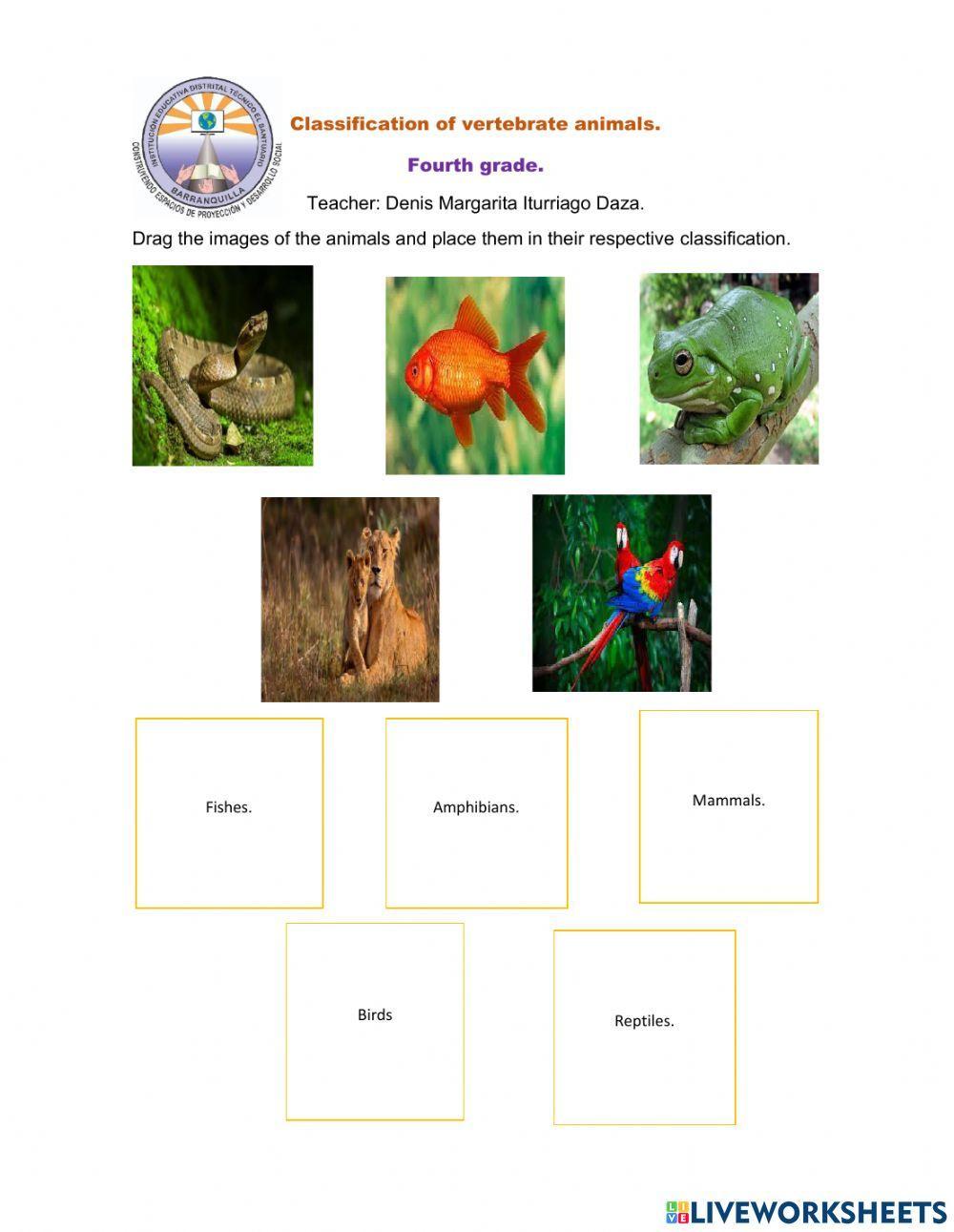 Classification of vertebrate animals.