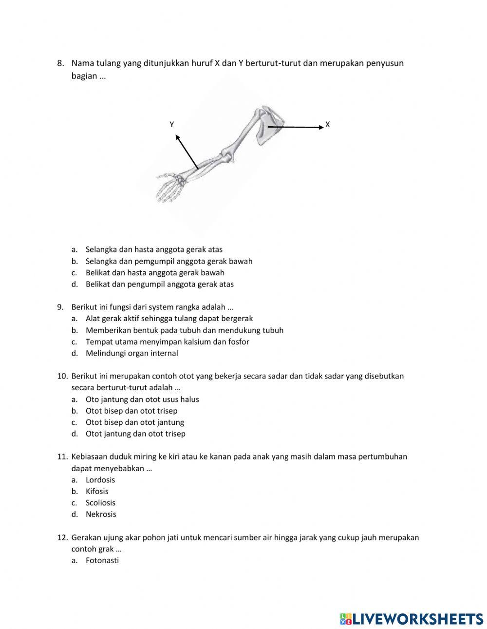 Penilaian tengah semester 1