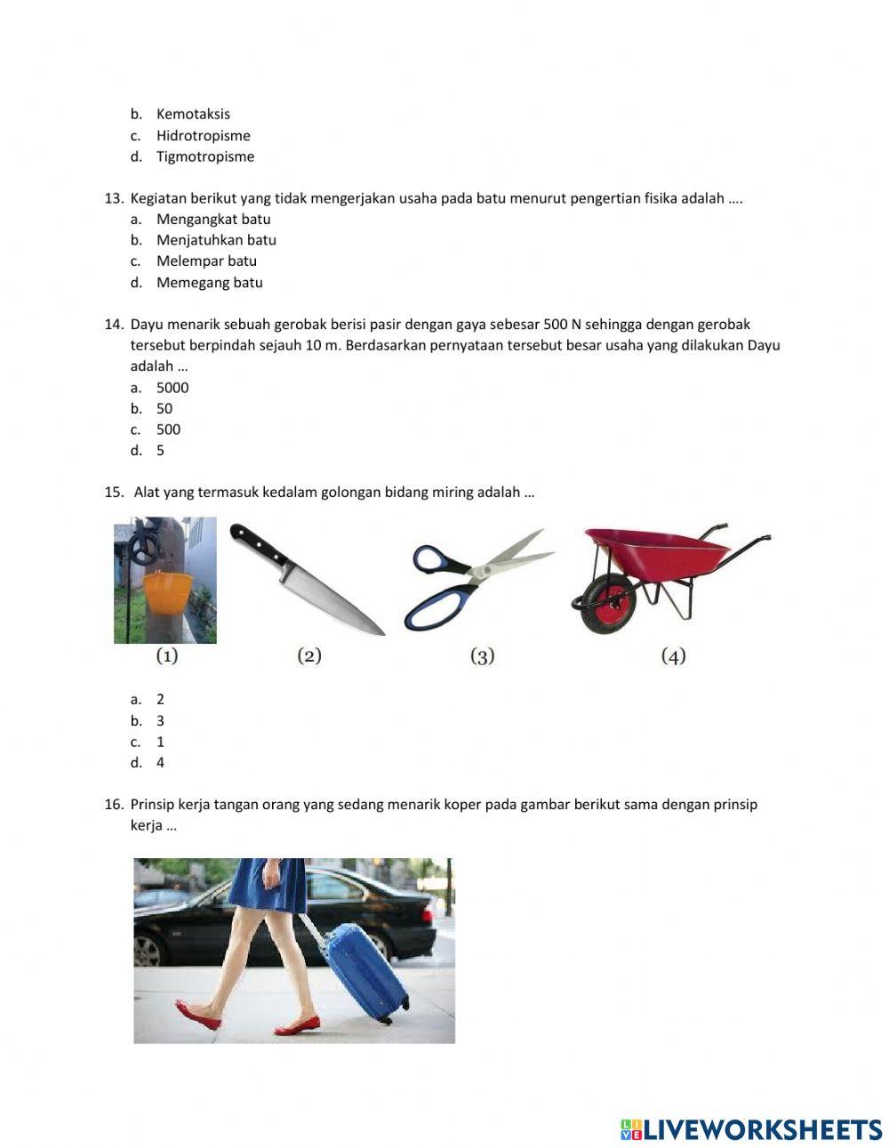 Penilaian tengah semester 1