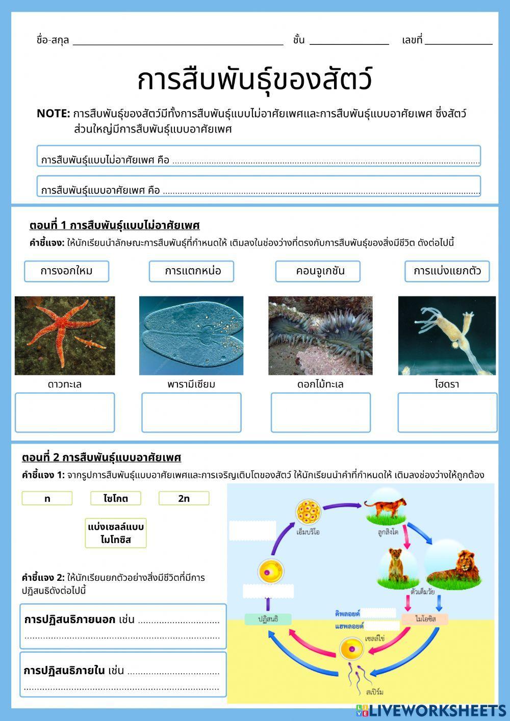 การสืบพันธุ์ของสัตว์ 6-1