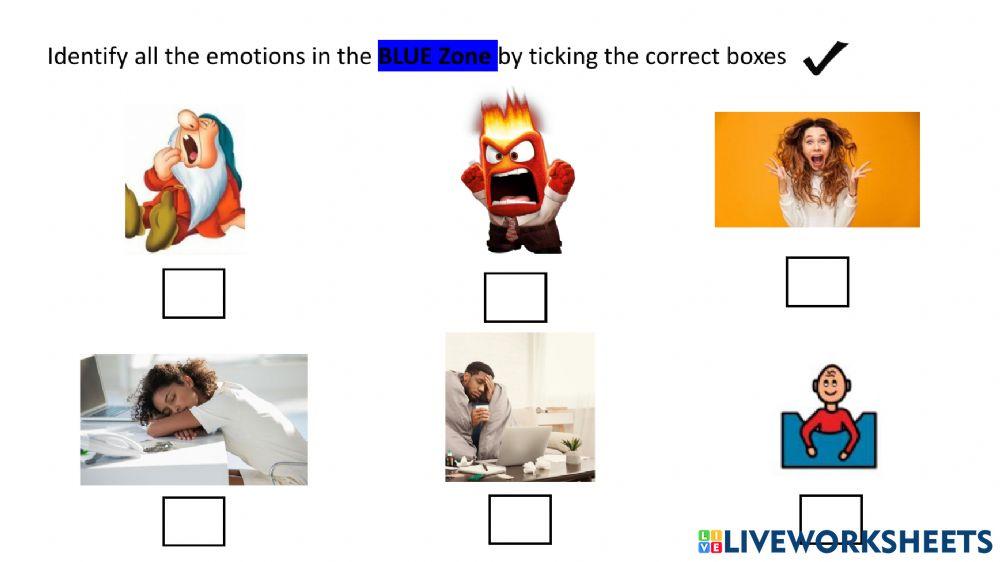 Zone of Regulation (Green and Blue zones)