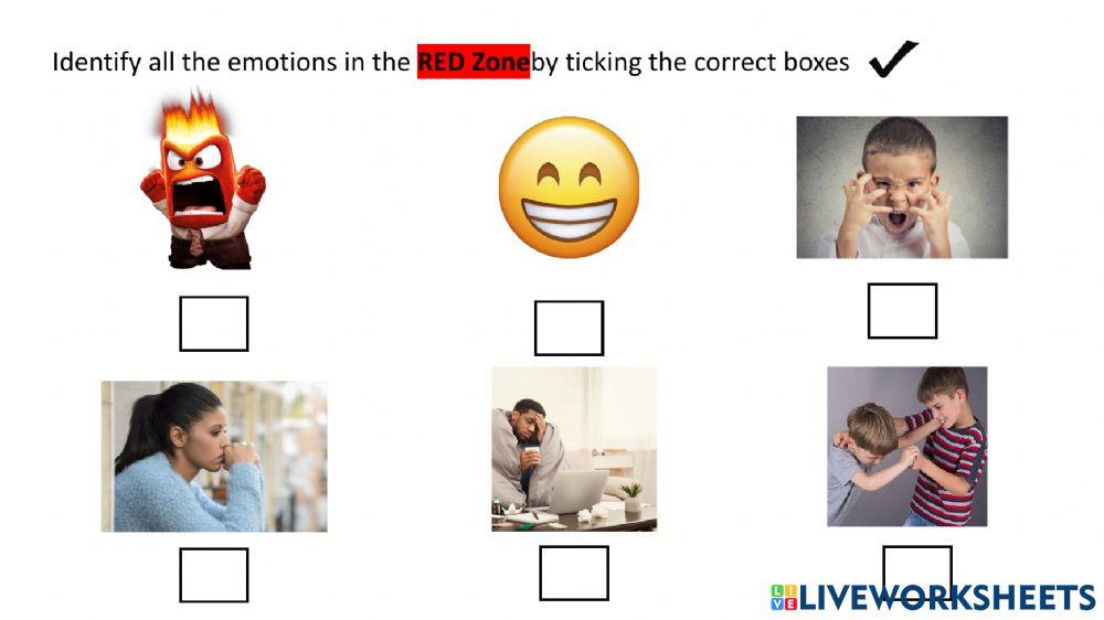 Zone of Regulation (Yellow and Red zones)