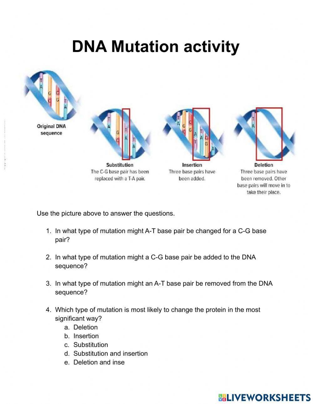 Types of Mutations