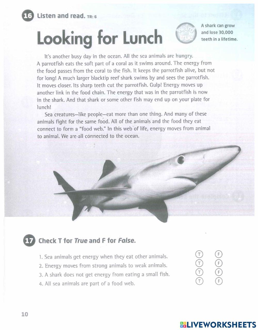 Grade5-Workbook-Week4-ReadingWB