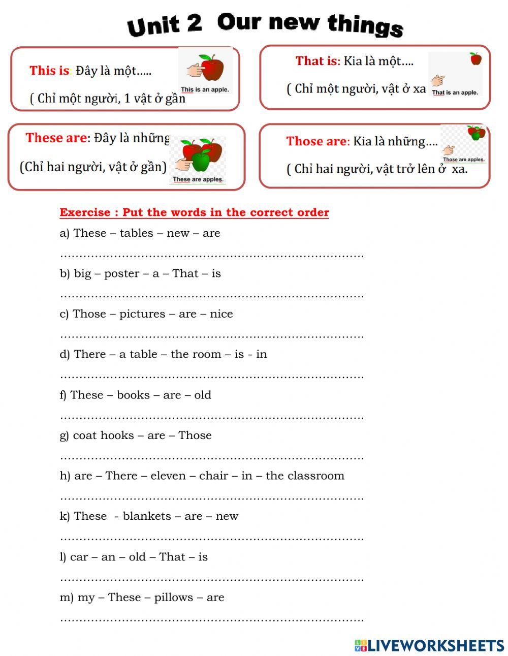 Unit 2: Our New Things