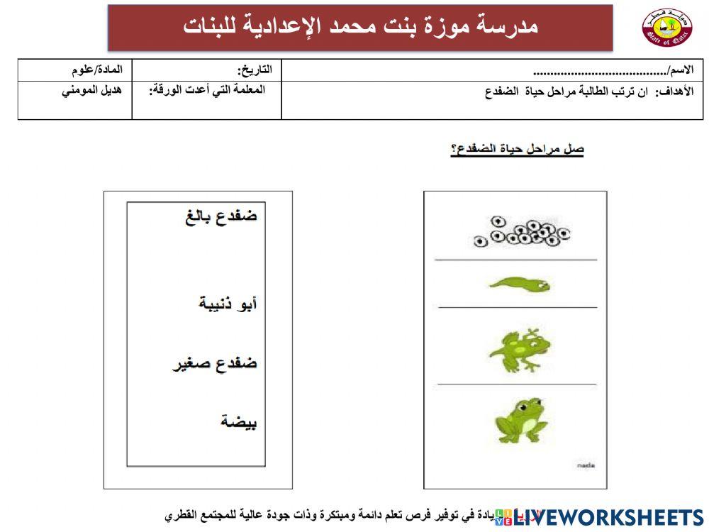دورة حياة الضفدع