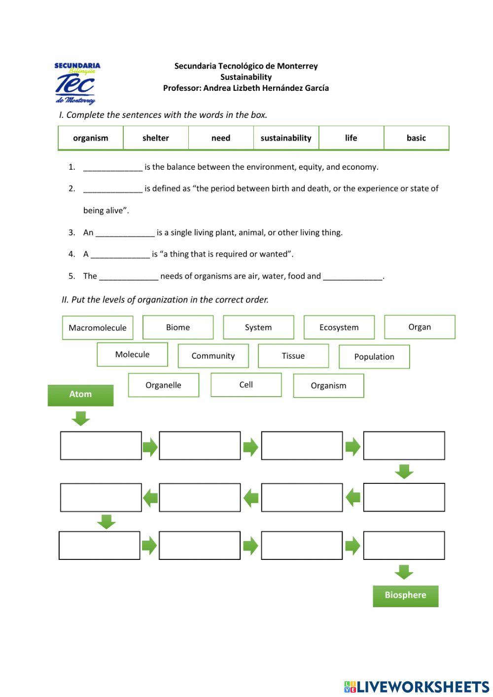 Partial Exam (First Period)