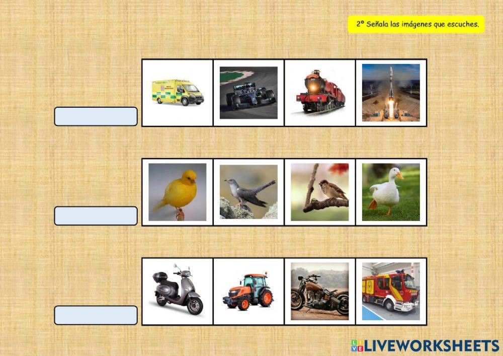 SONIDOS DEL ENTORNO 5