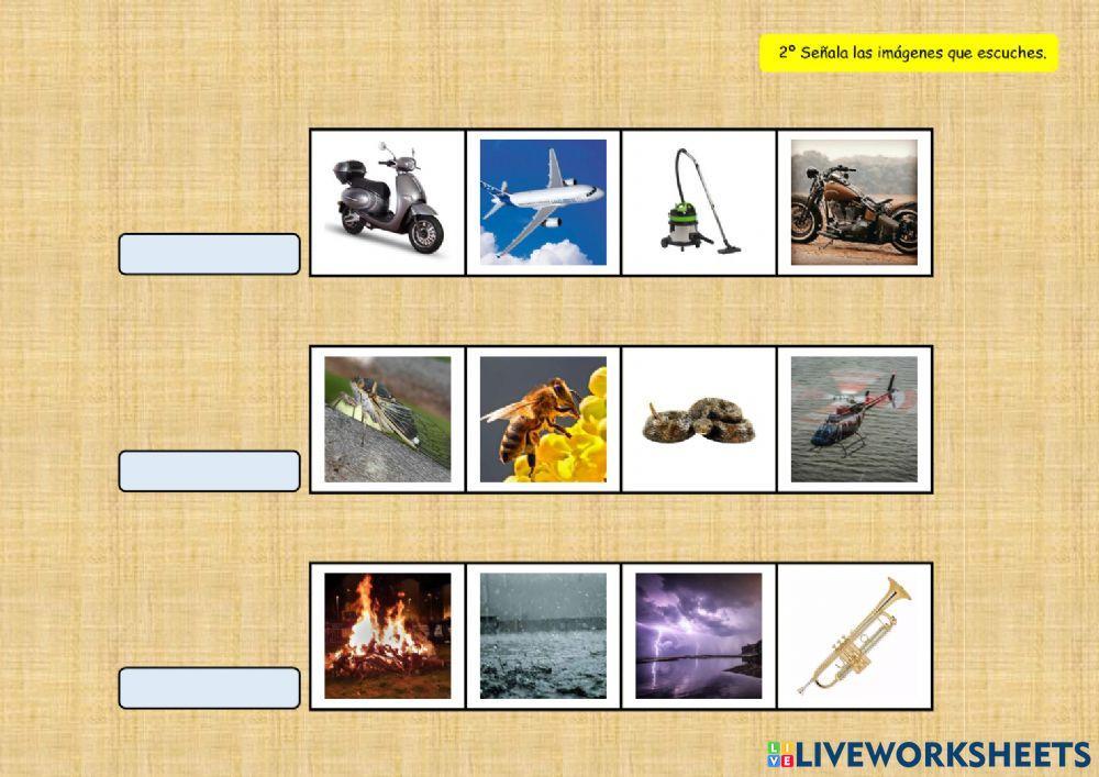 SONIDOS DEL ENTORNO 6