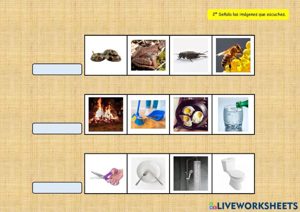 SONIDOS DEL ENTORNO 7