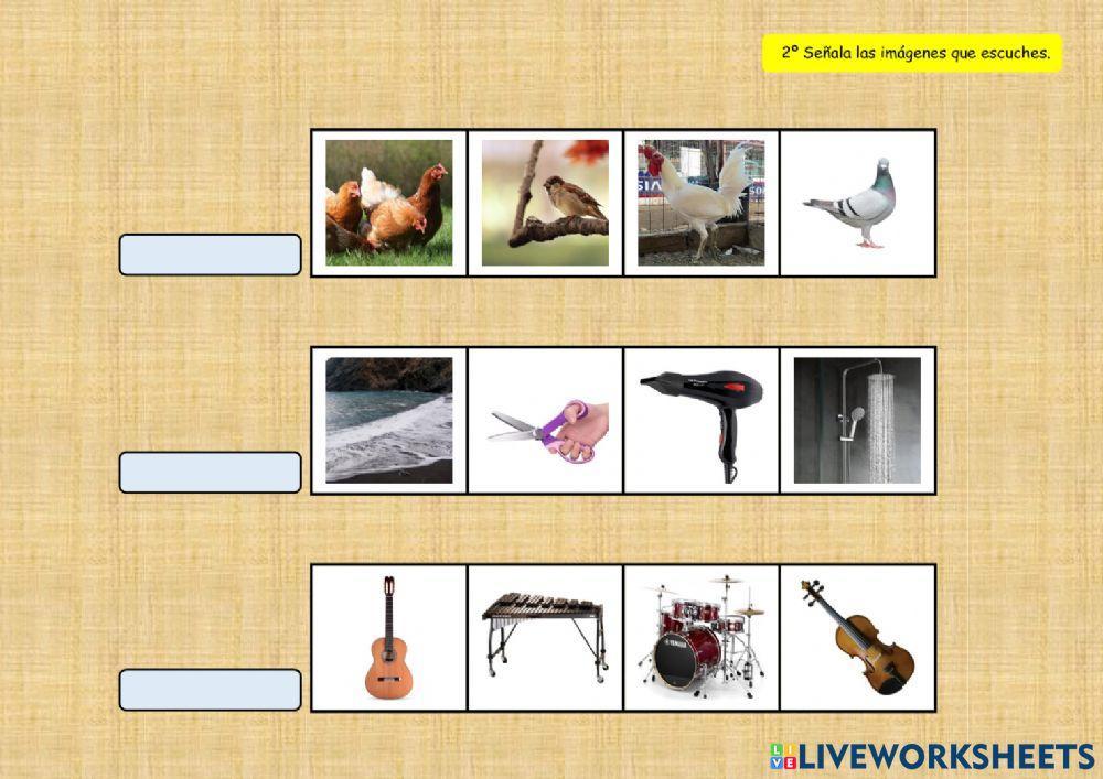 SONIDOS DEL ENTORNO 9