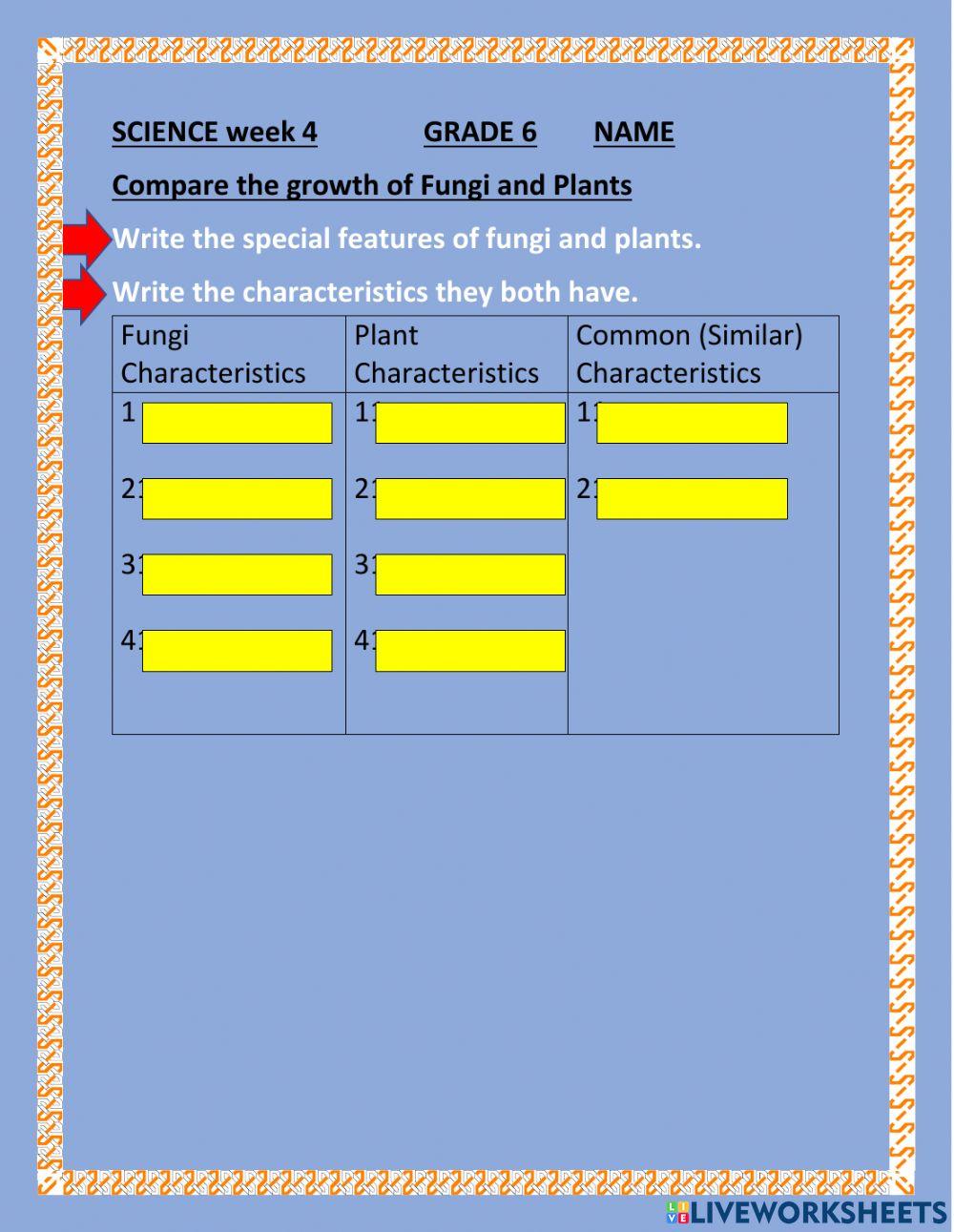 Fungi Compares to Plant