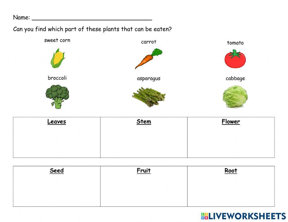 Plants that can be eaten