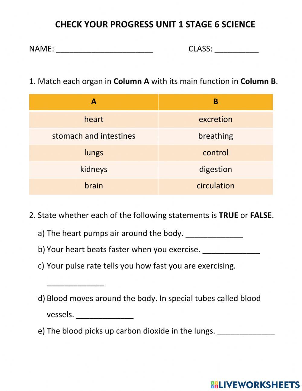 Check Your Progress Stage 6 Unit 1 Check Your Progress Stage 6 Unit 1