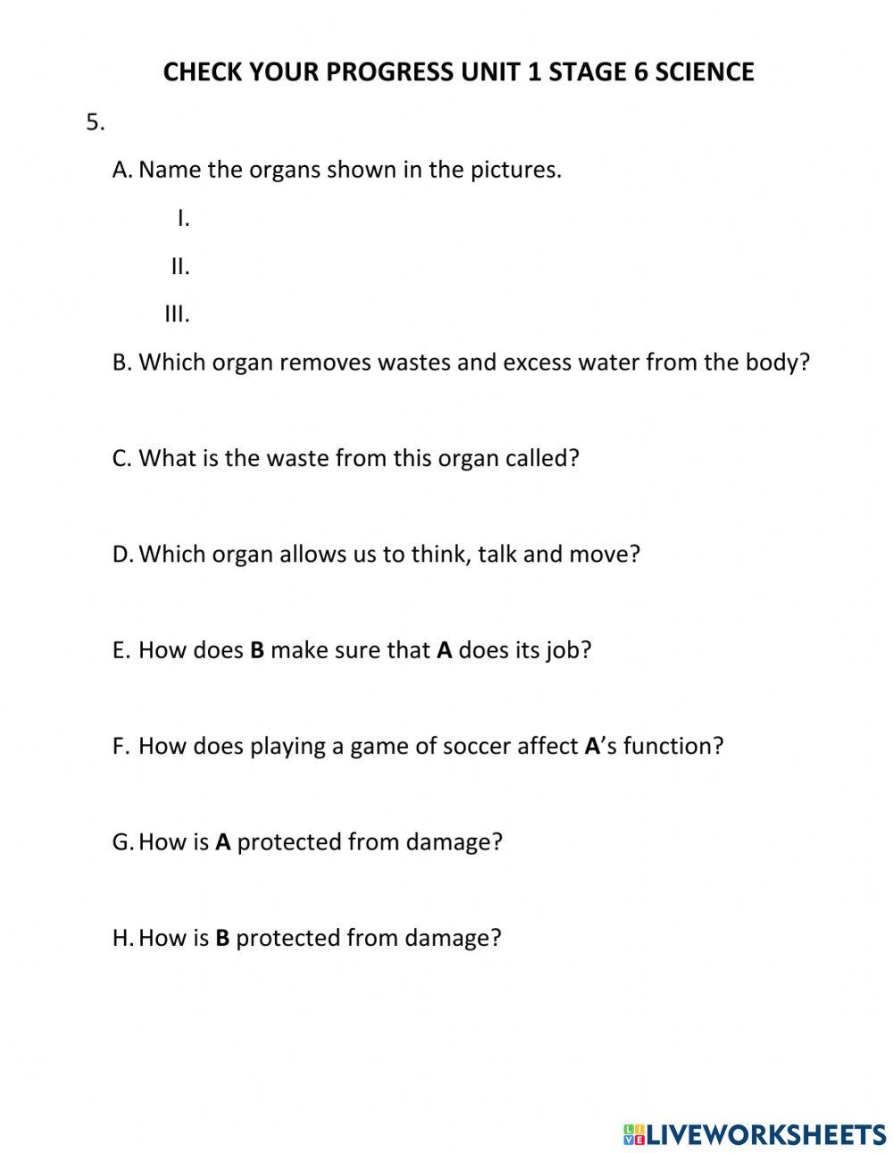 Check Your Progress Stage 6 Unit 1 Check Your Progress Stage 6 Unit 1