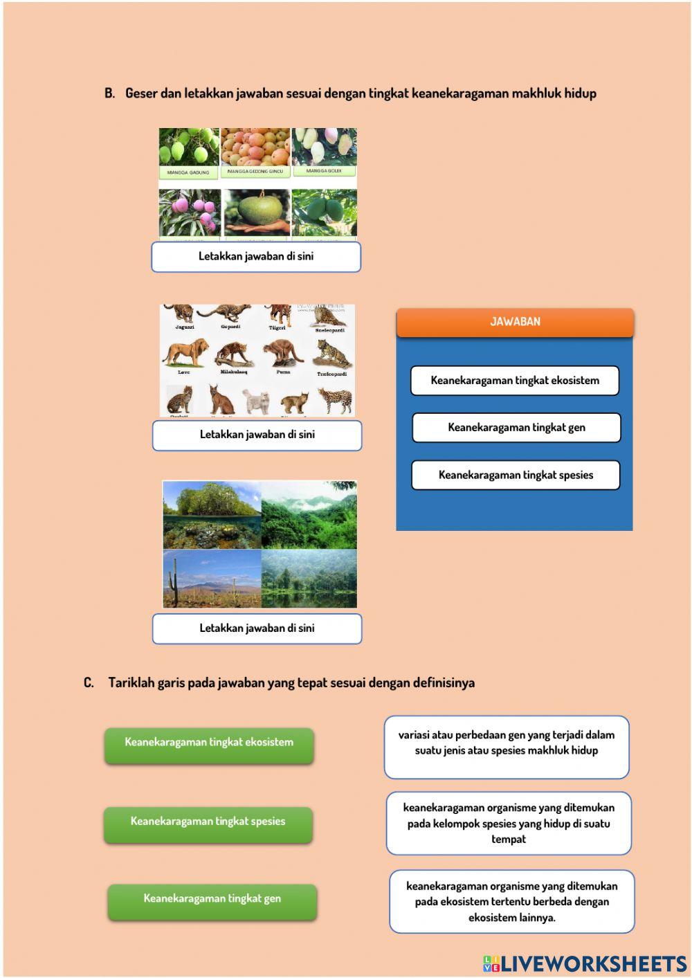 Latihan soal interaktif bab keanekaragaman hayati kelas x