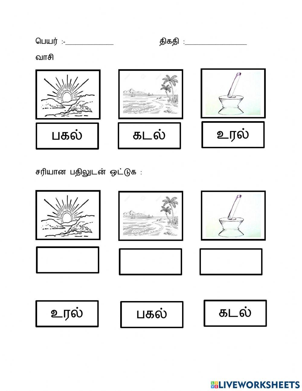 மூவெழுத்து சொற்கள்