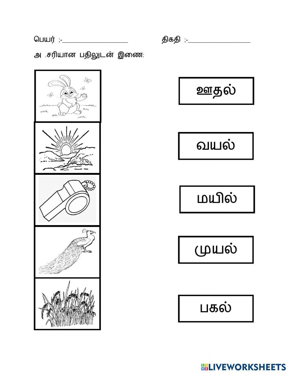 மூவெழுத்து சொற்கள் மூவெழுத்து சொற்கள்