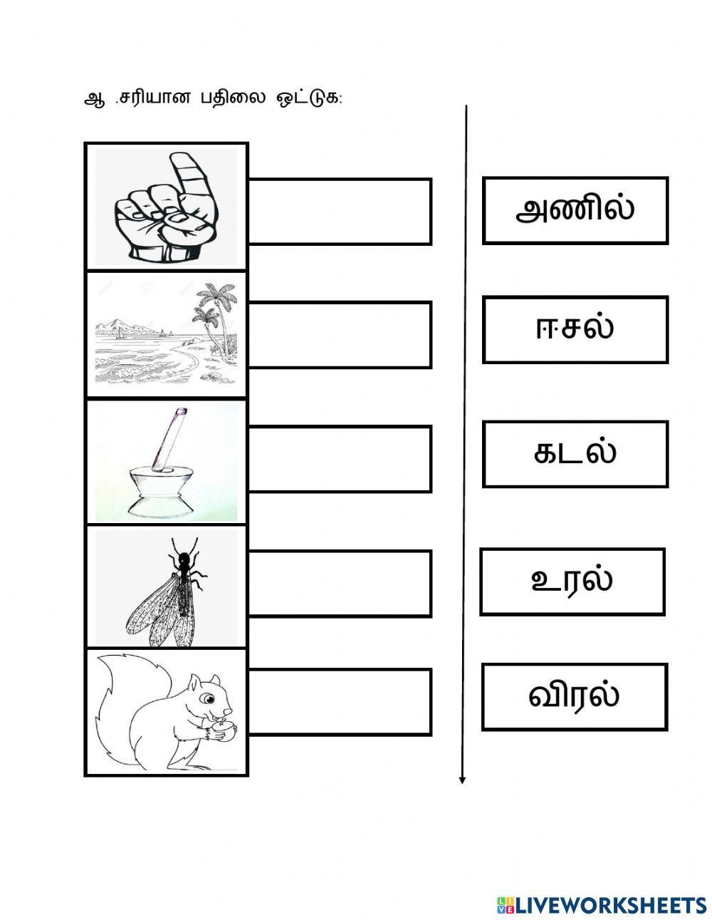 மூவெழுத்து சொற்கள் மூவெழுத்து சொற்கள்