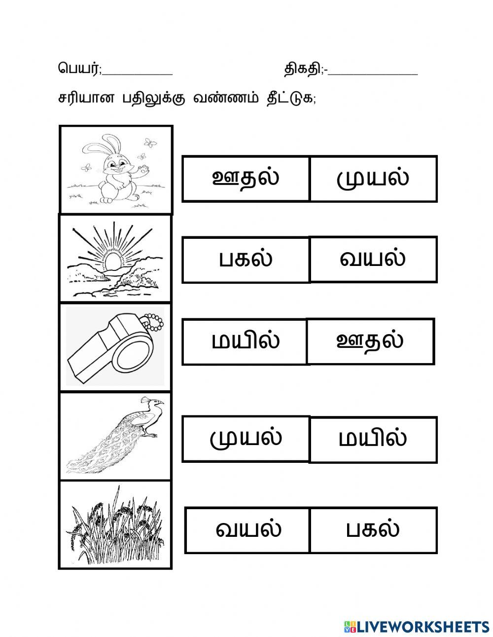 மூவெழுத்து சொற்கள்