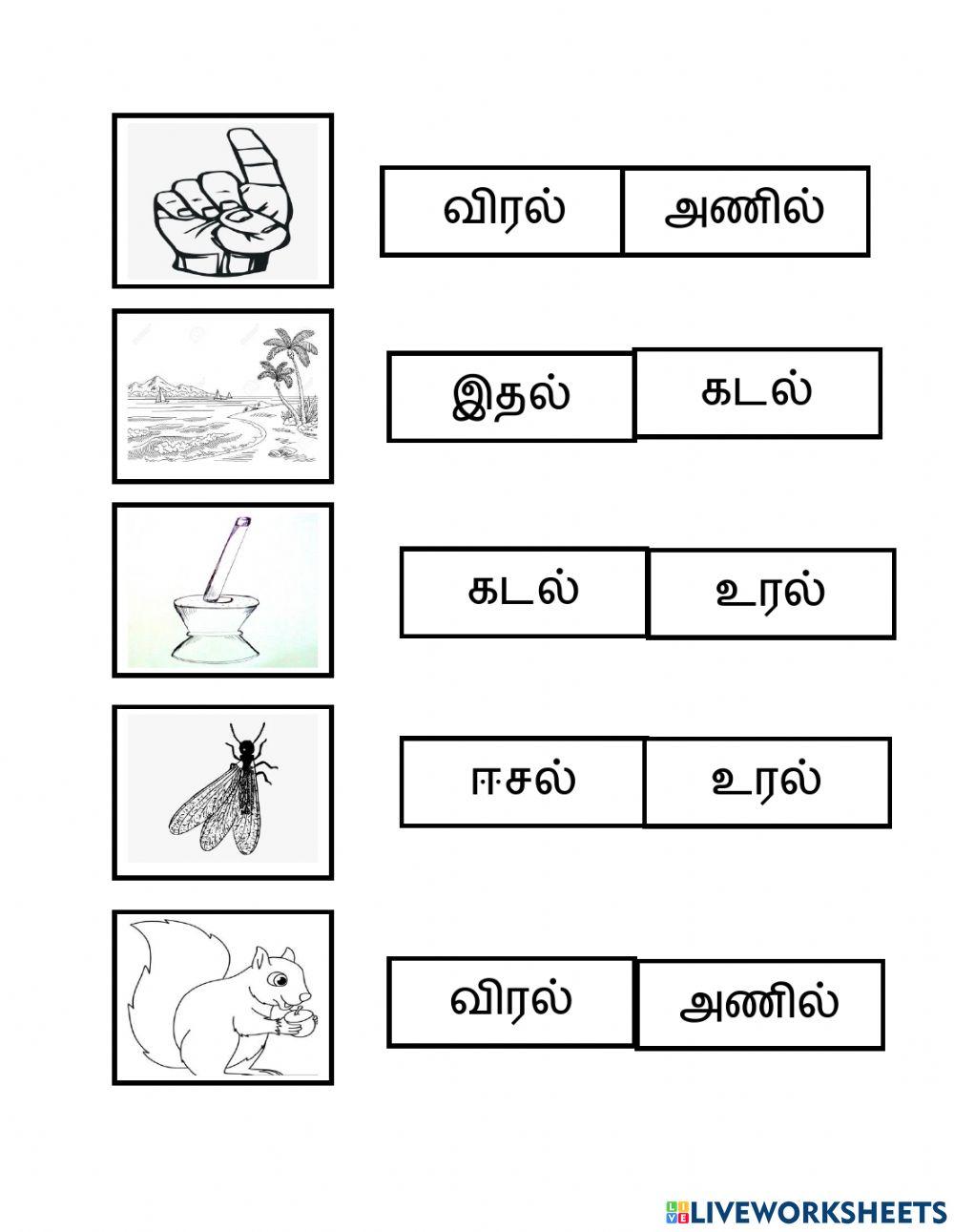 மூவெழுத்து சொற்கள் மூவெழுத்து சொற்கள்
