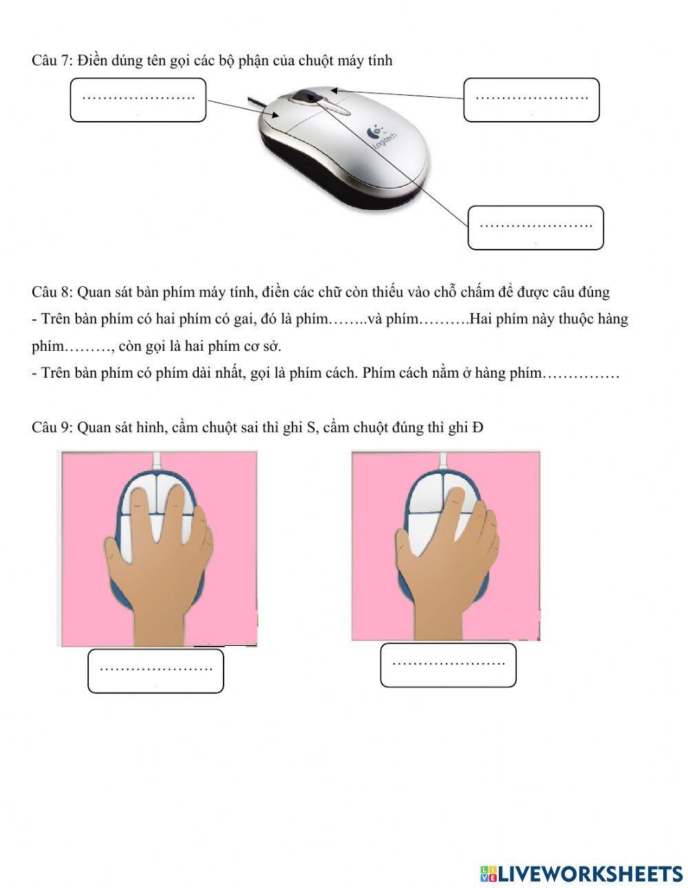 Bài tập môn Tin học lớp 3