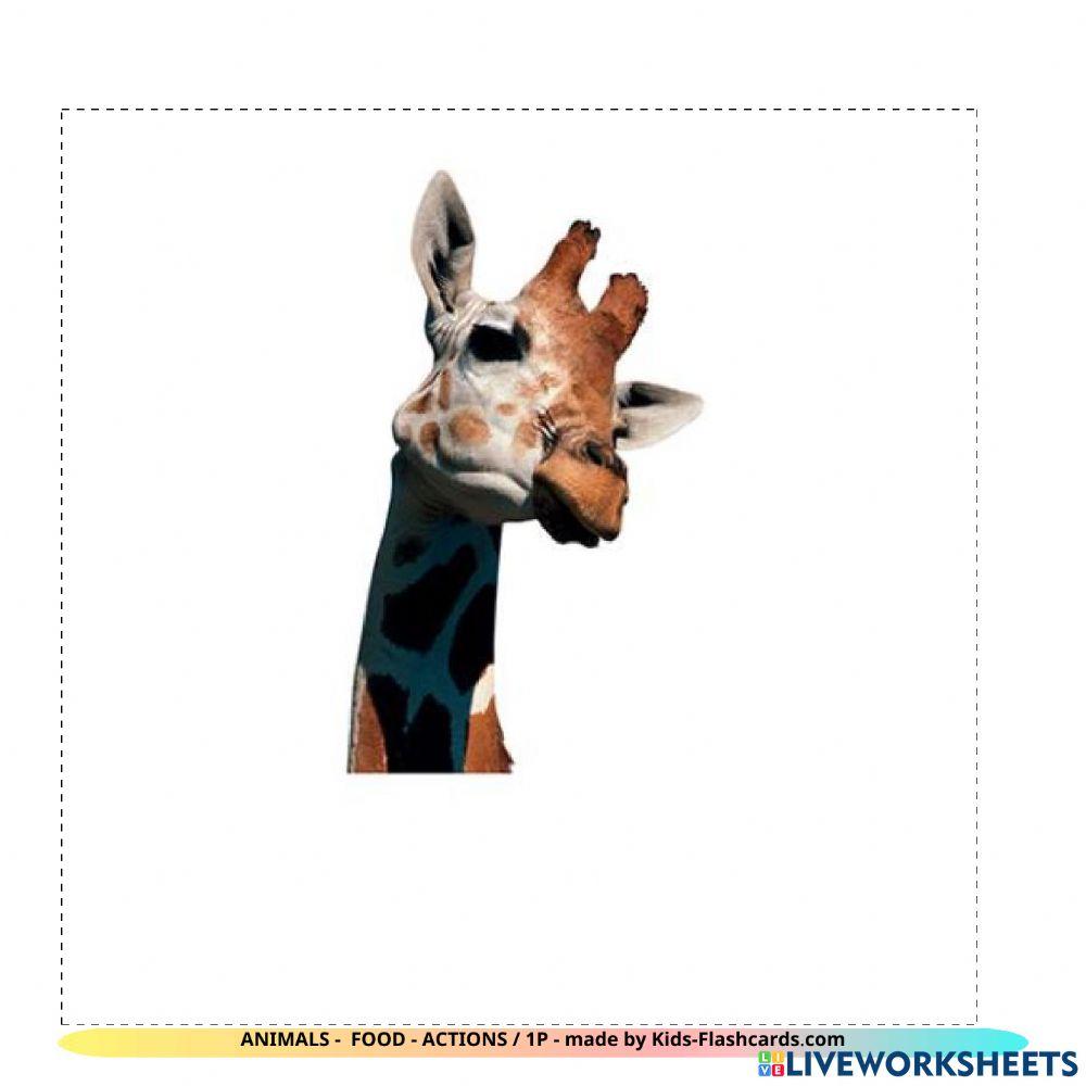 Animals - food - actions