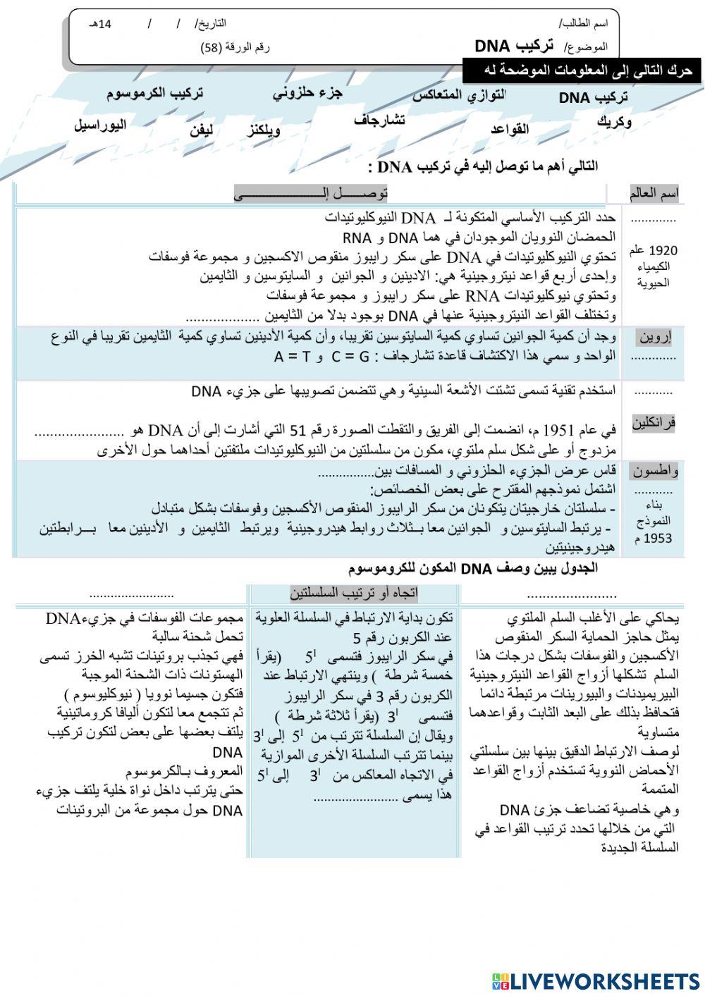 ورقة 58تفاعلية3
