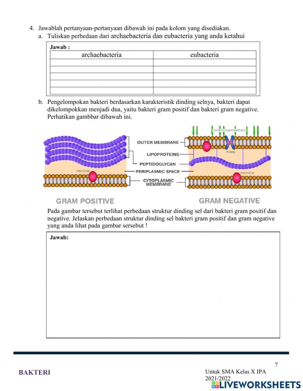 LKPD Bakteri X IPA 3