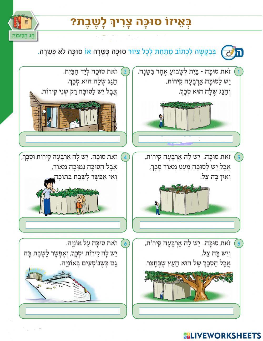 סוכה כשרה או לא כשרה