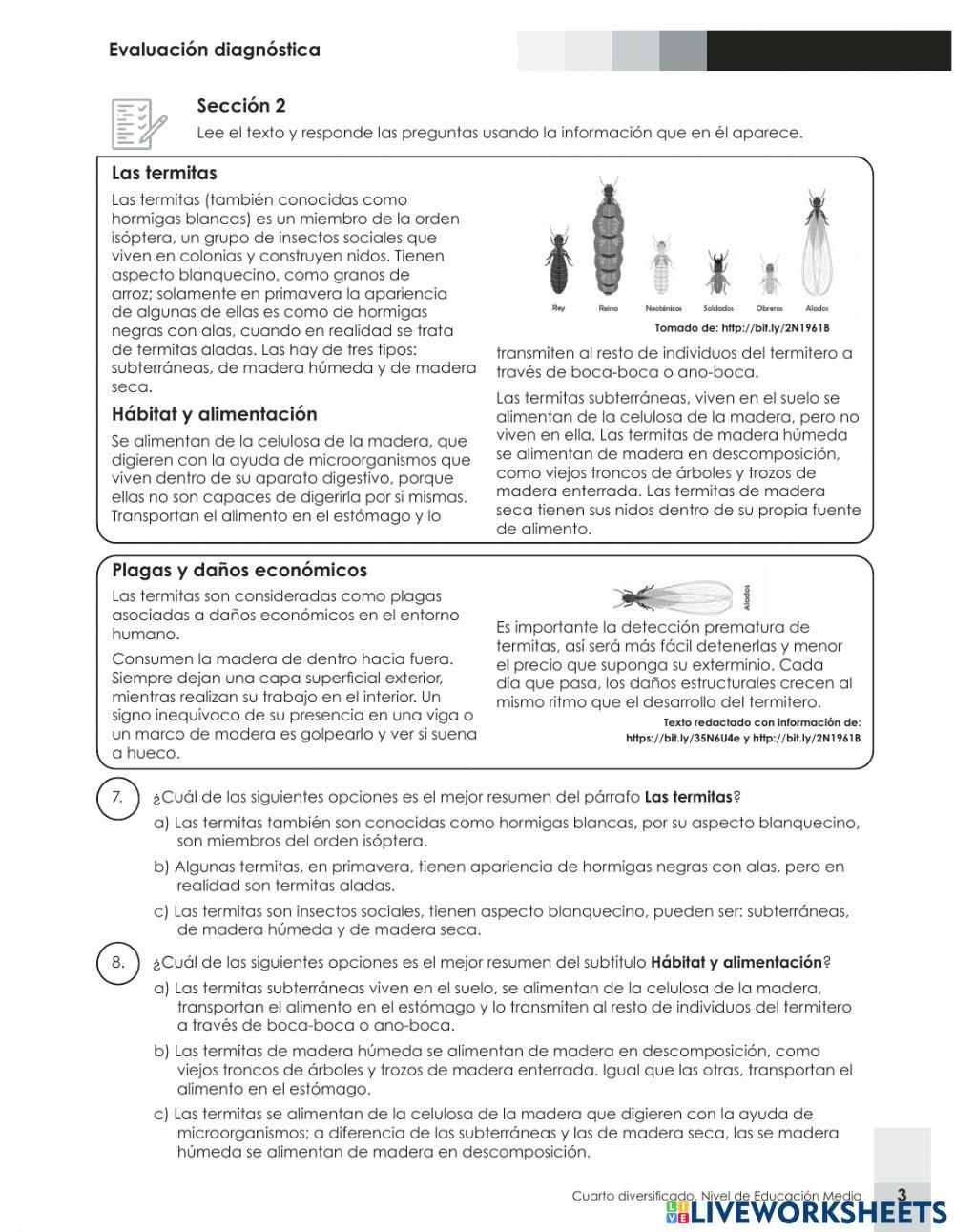 Prueba Diagnostica C y L