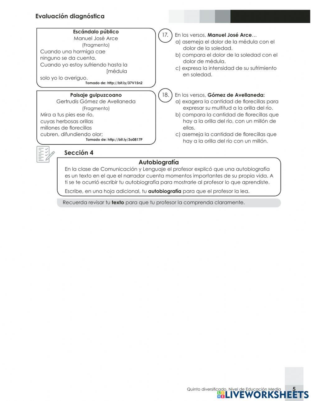 Prueba Diagnostica C y L