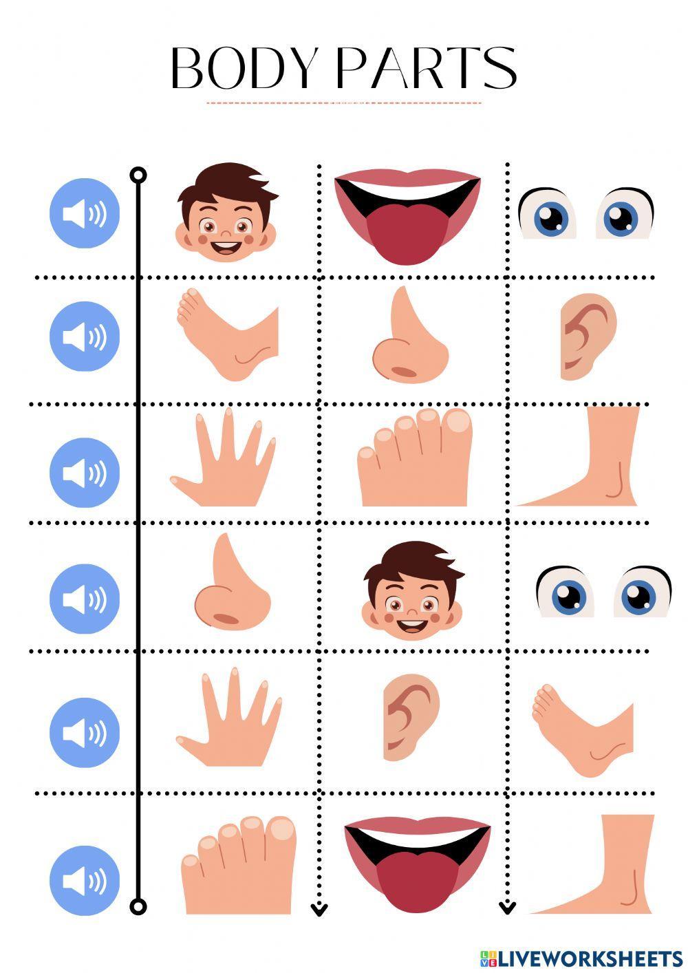 Body Parts 2712 mariela rojas Live Worksheets