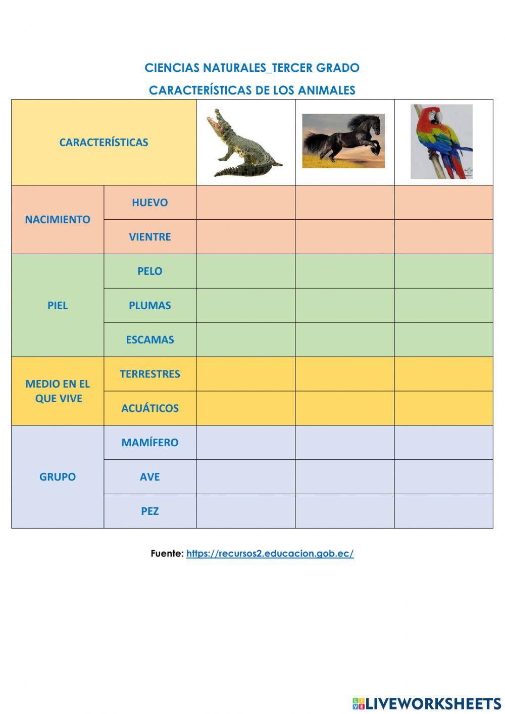 Características de los Animales
