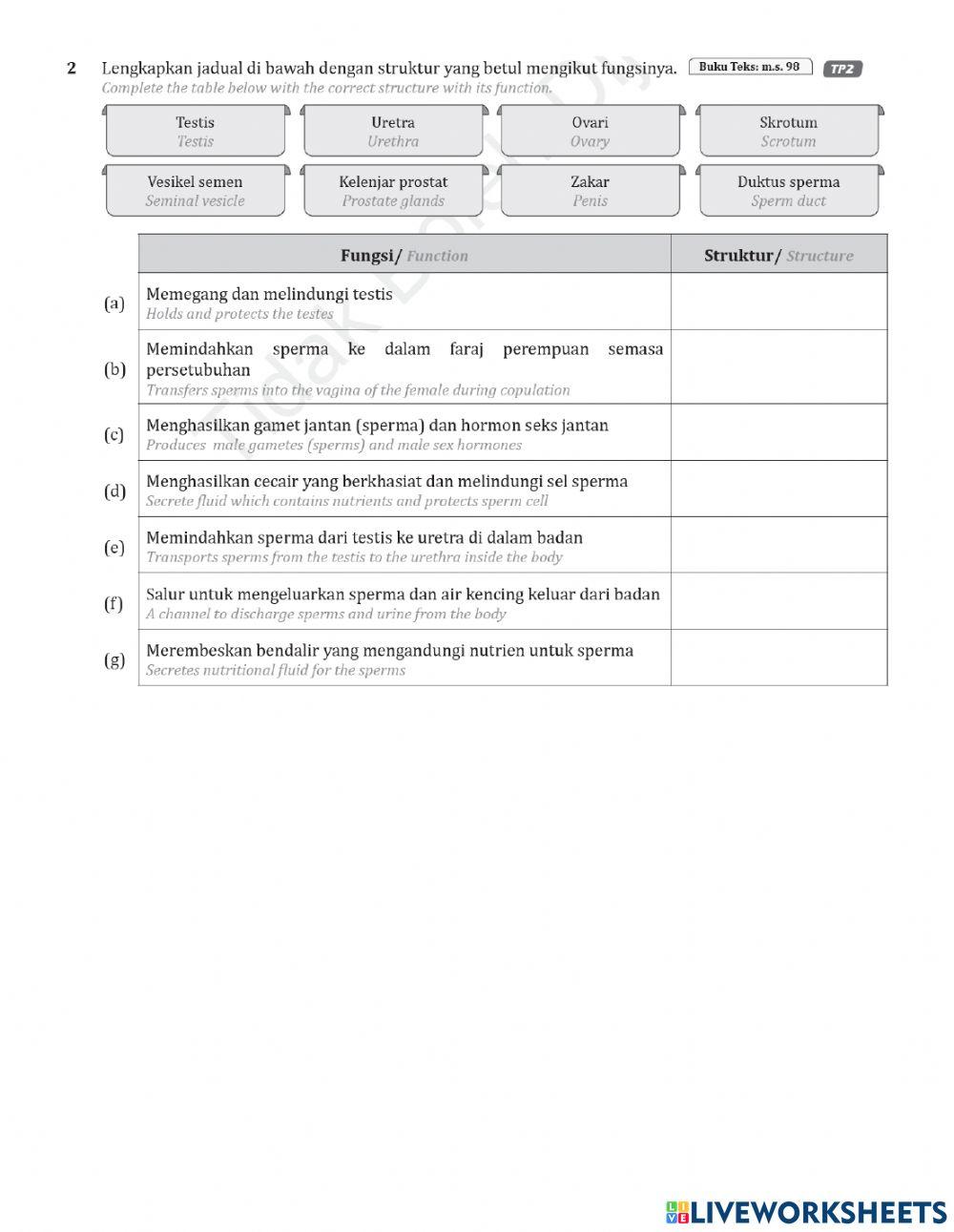 Latihan pembiakan 1.0