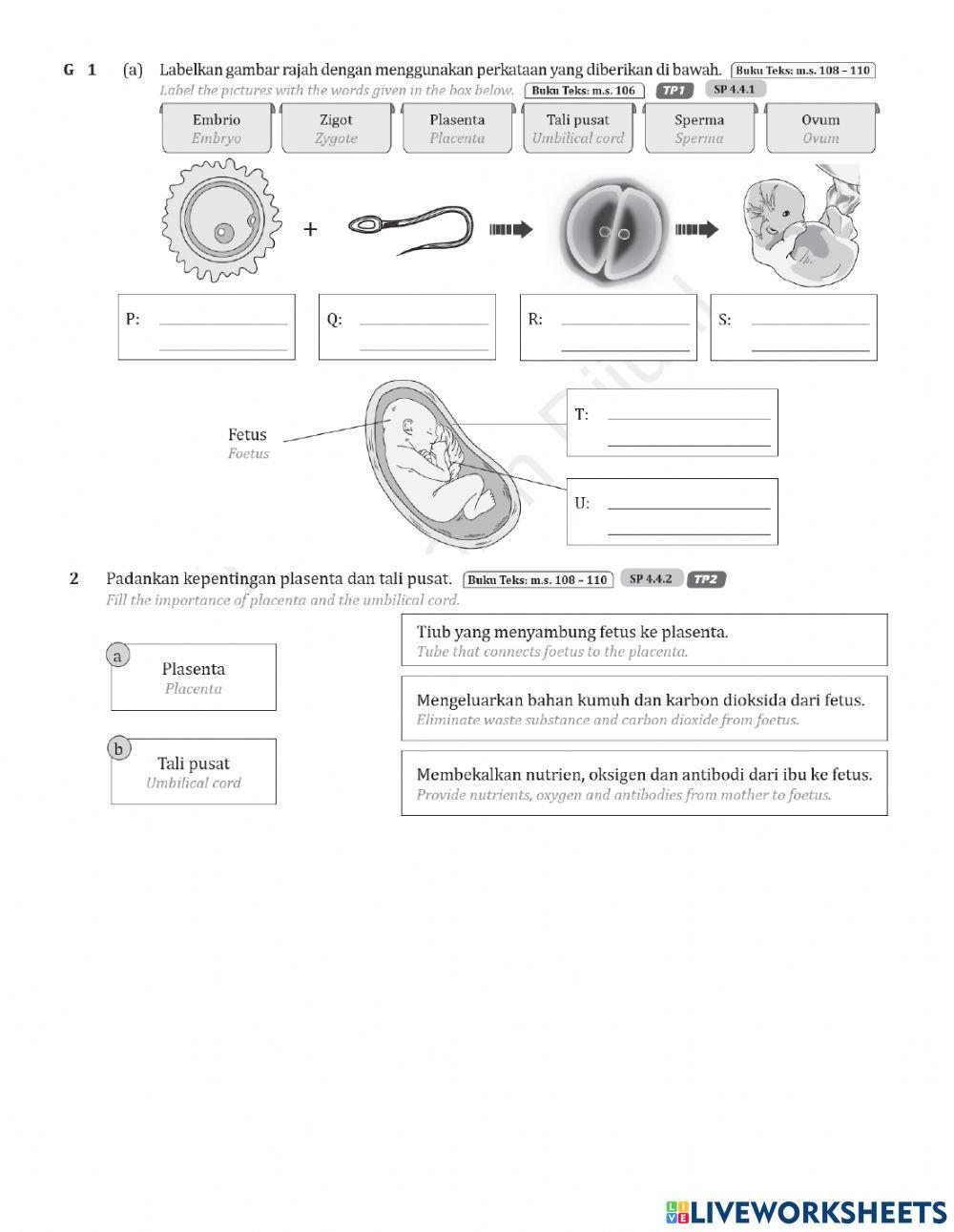 Latihan pembiakan 1.0