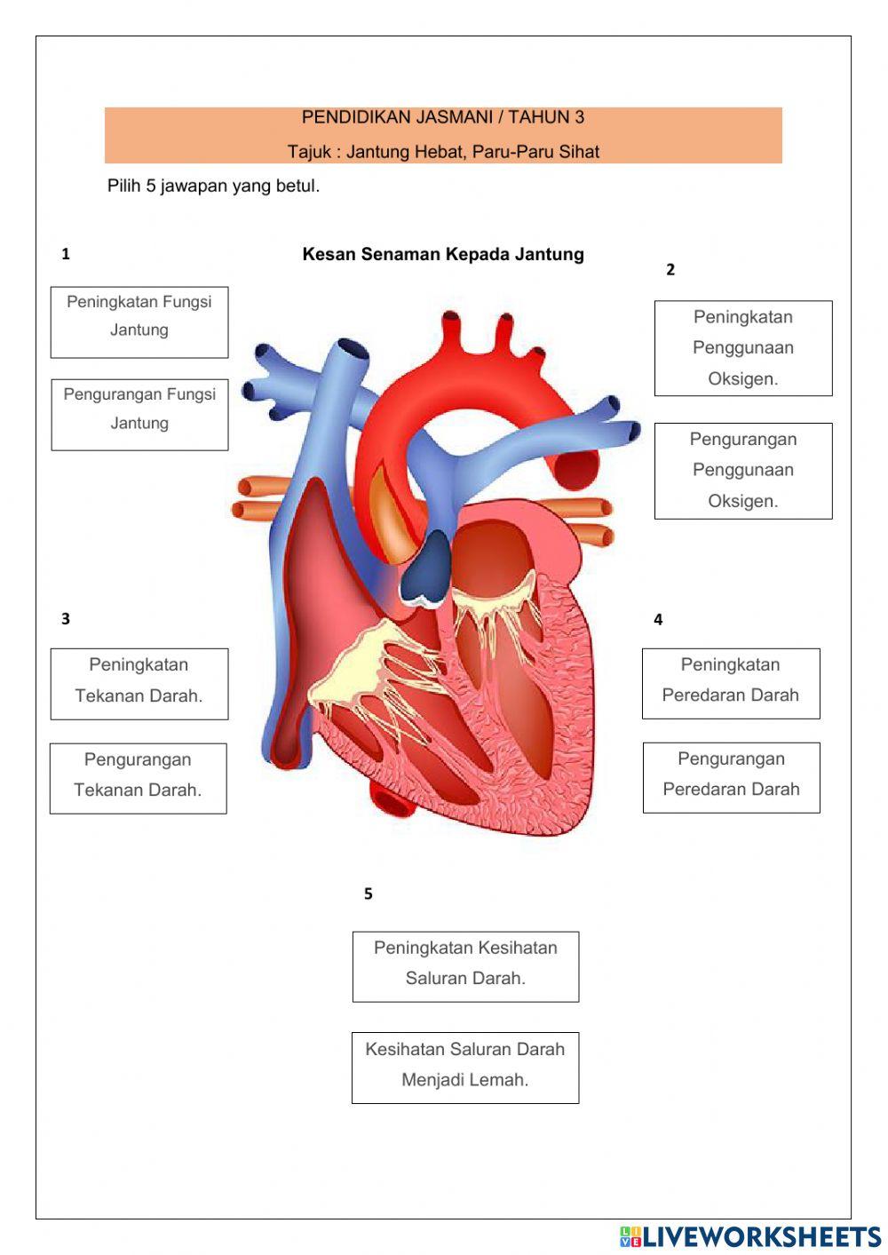 Jantung Hebat, Paru-Paru Sihat