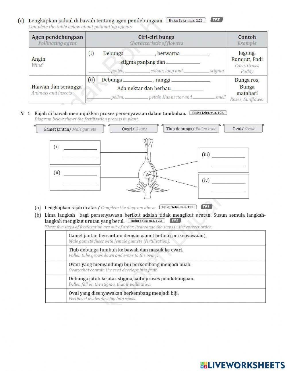 Latihan pembiakan 2.0