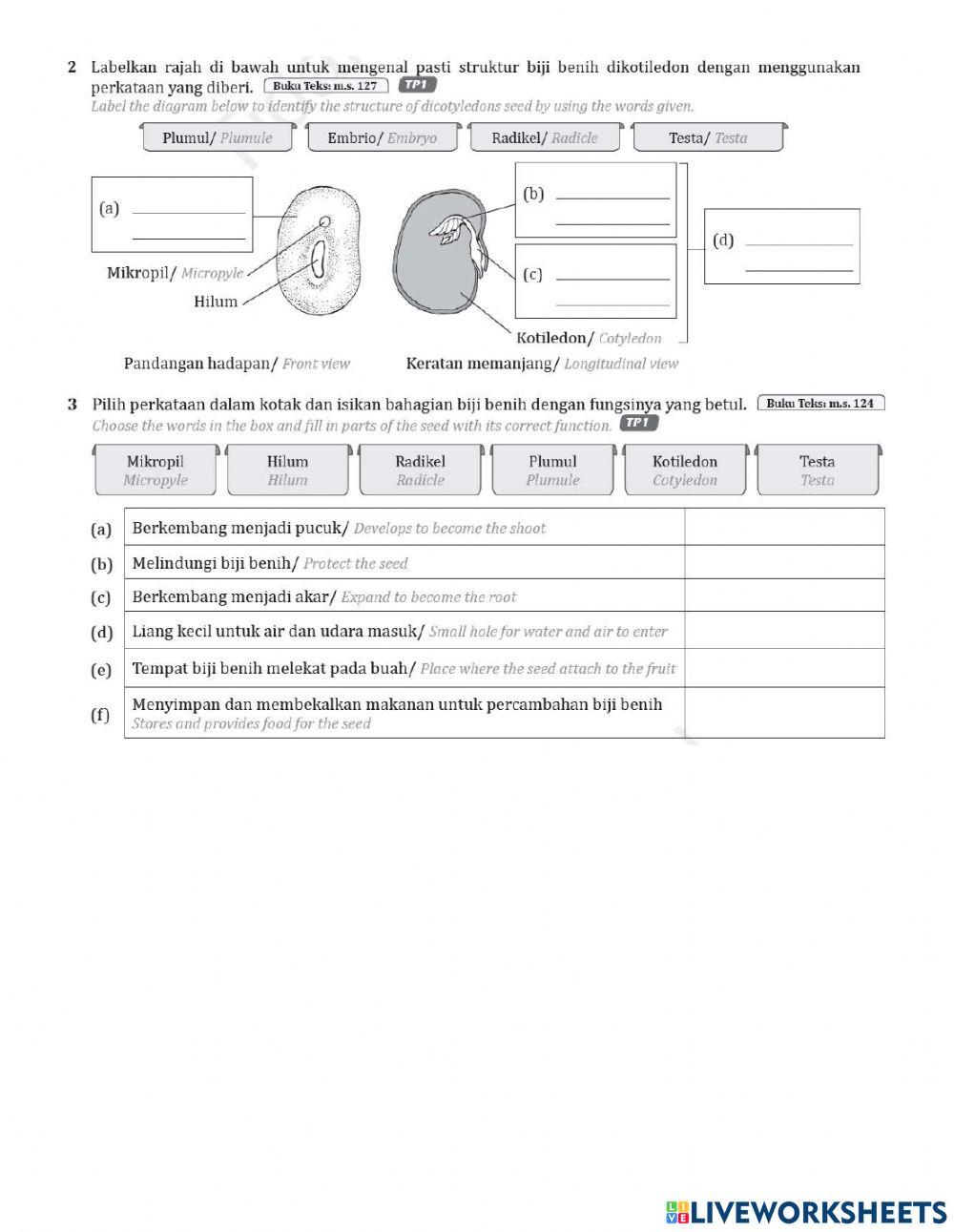 Latihan pembiakan 2.0