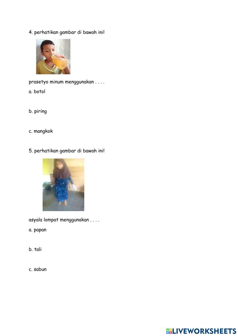 PTS Bahasa Indonesia Selasa