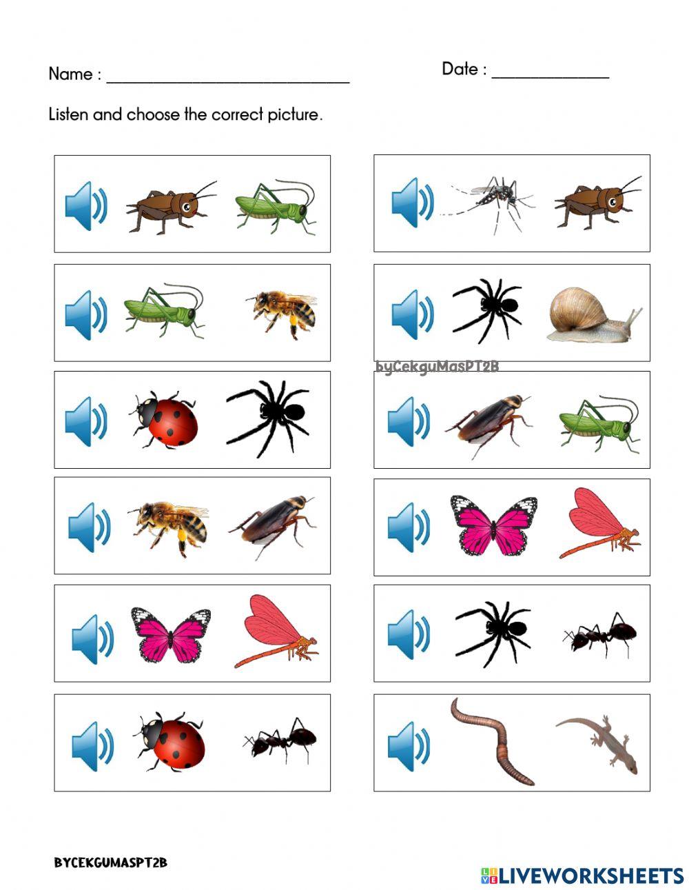 Listen and choose the correct answers 6 YEARS